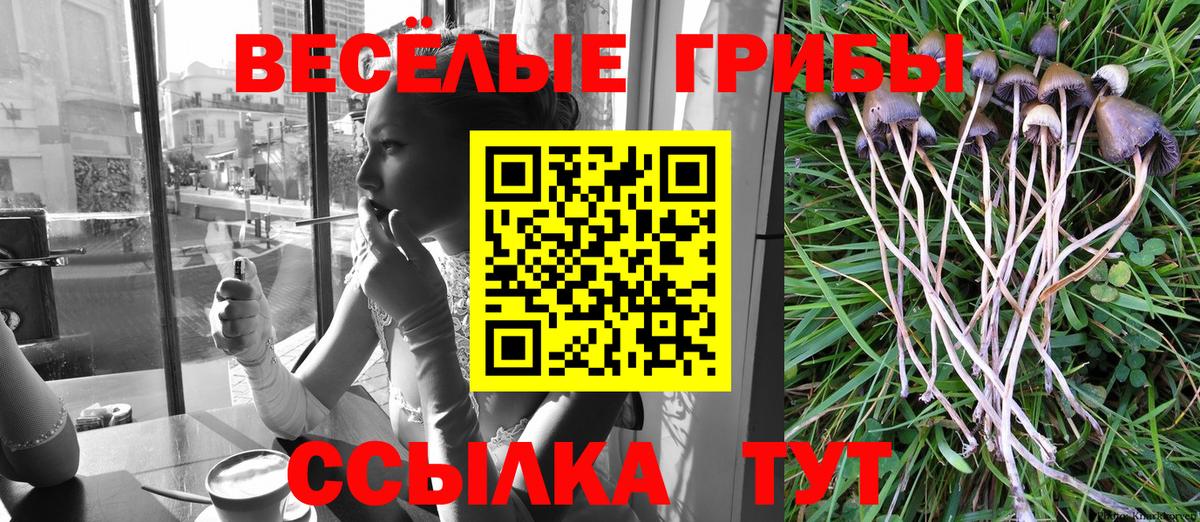 Галлюциногенные грибы Cubensis  Псилоцибиновые грибы Magic Shrooms  Вход с VPN  Тихорецк 